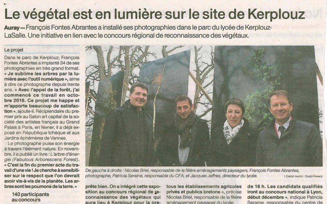 Le végétal est en lumière sur le site de Kerplouz