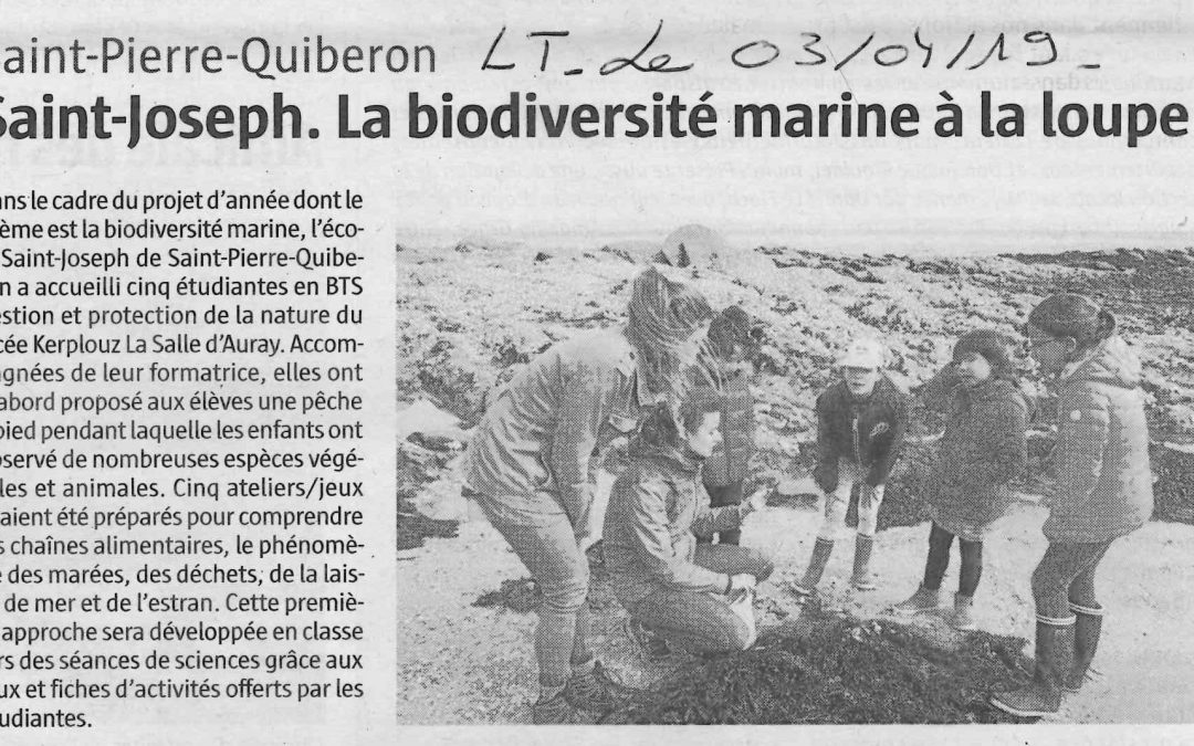 Saint-Joseph. La biodiversité marine à la loupe