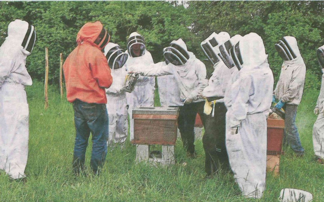 Apiculture. Kerplouz s’ouvre aux abeilles