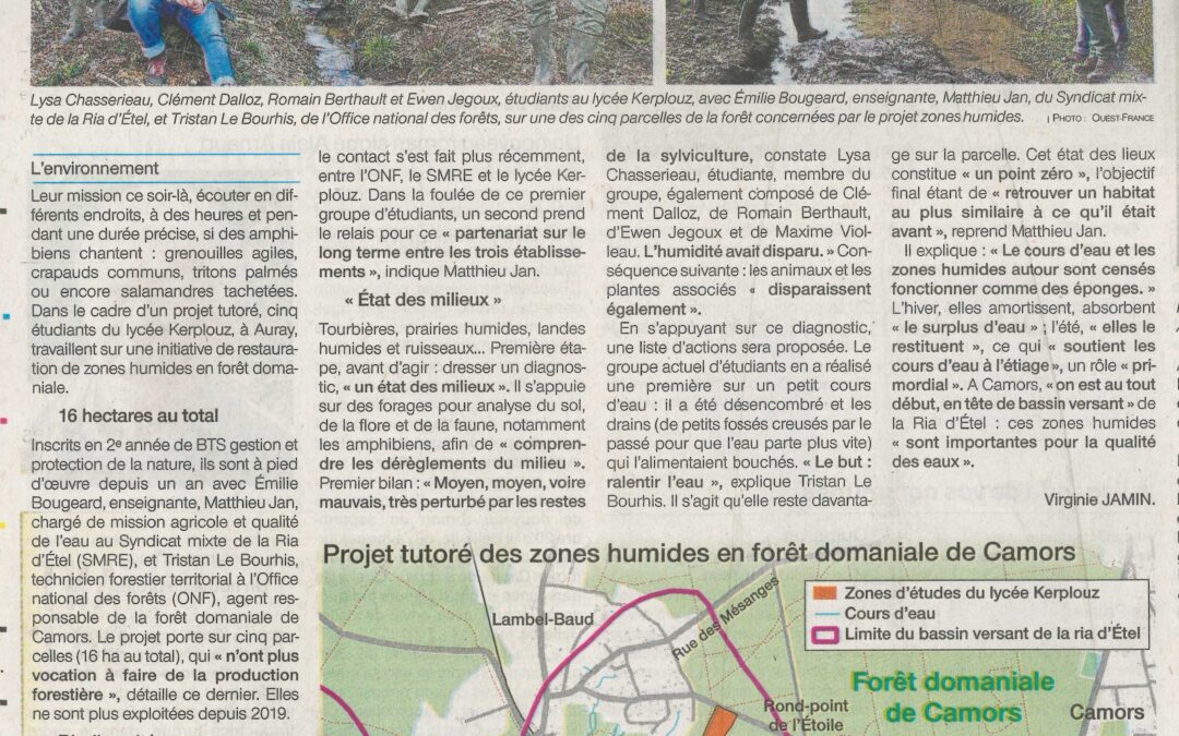 Ils restaurent des zones humides dans la forêt