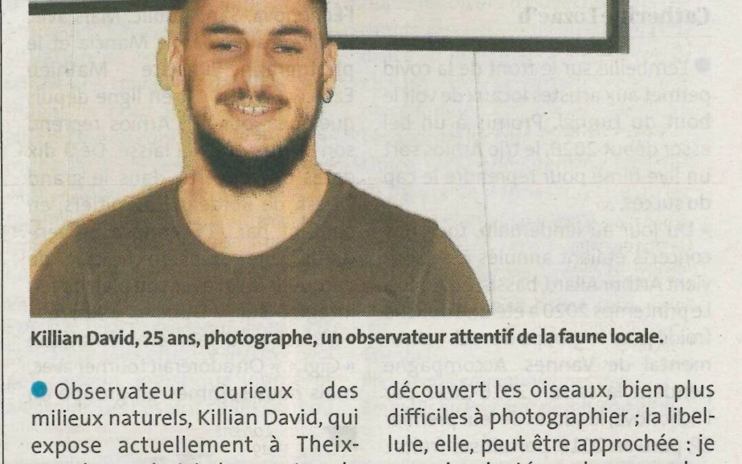 Killian David dévoile le monde « oublié » des insectes en photos