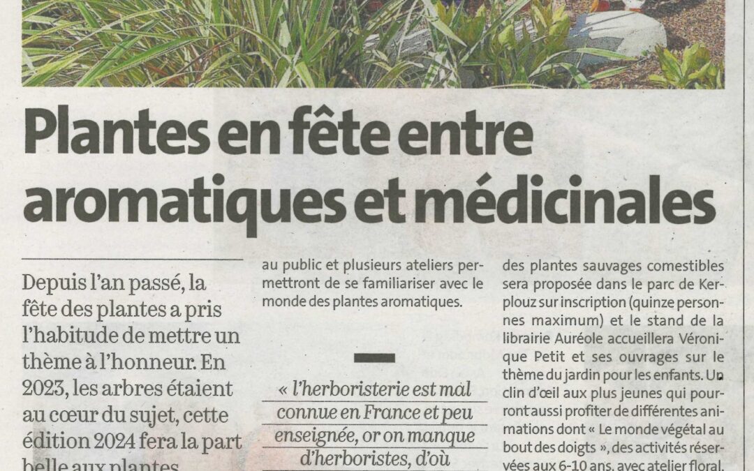 Plantes en fête entre aromatiques et médicinales