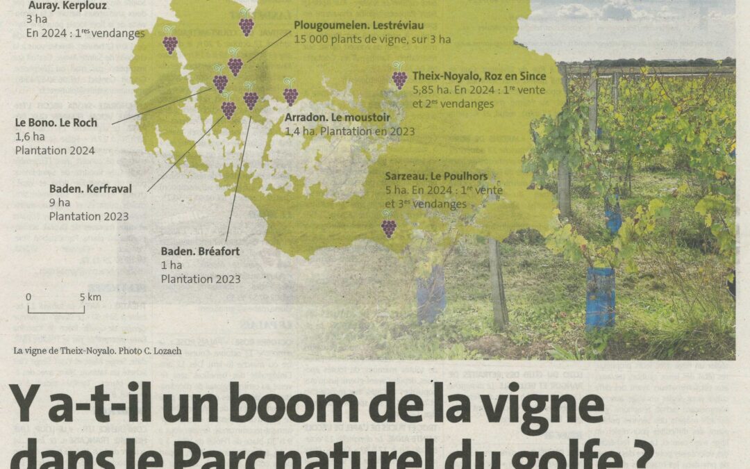 Y a-t-il un boom de la vigne dans le Parc naturel du Golfe ?