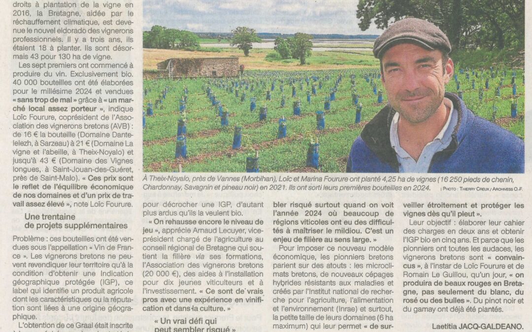 Les vignerons bretons veulent décrocher une IGP bio